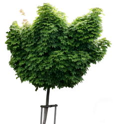 Photo of Mixed Nature Textures